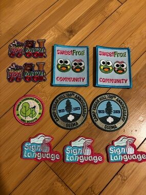 SweetFrog Community & Girl Scout Patch Lot - Colorful Embroidered Badges. 10.